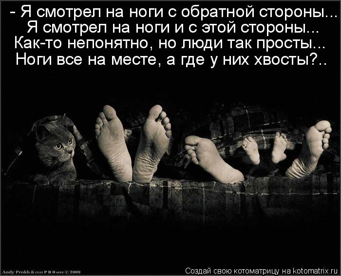 - Я смотрел на ноги с обратной стороны... Я смотрел на ноги и с этой стороны... Как-то непонятно, но ... Котоматрица: - Я смотрел на ноги с обратной стороны... Я смотрел на ноги и с этой стороны... Как-то непонятно, но люди так просты... Ноги все на месте, а где у н