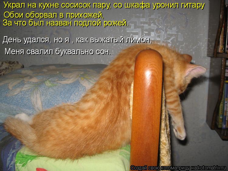 Обои оборвал в прихожей, За что был назван подлой рожей. Меня свалил буквально сон. Украл на кухне со... Котоматрица: Обои оборвал в прихожей, За что был назван подлой рожей. Меня свалил буквально сон. Украл на кухне сосисок пару, со шкафа уронил гитару День