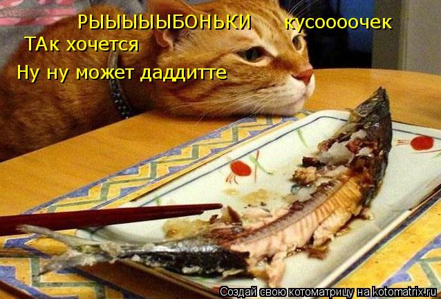 РЫЫЫЫЫБОНЬКИ кусоооочек РЫЫЫЫЫБОНЬКИ кусоооочек ТАк хочется Ну ну может даддитте... Котоматрица: РЫЫЫЫЫБОНЬКИ кусоооочек РЫЫЫЫЫБОНЬКИ кусоооочек ТАк хочется Ну ну может даддитте