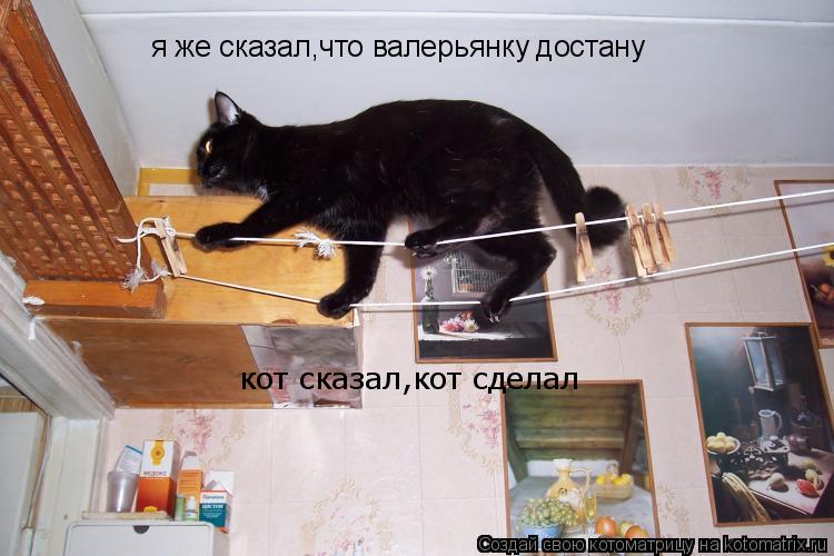 я же сказал,что валерьянку достану кот сказал,кот сделал... Котоматрица: я же сказал,что валерьянку достану кот сказал,кот сделал