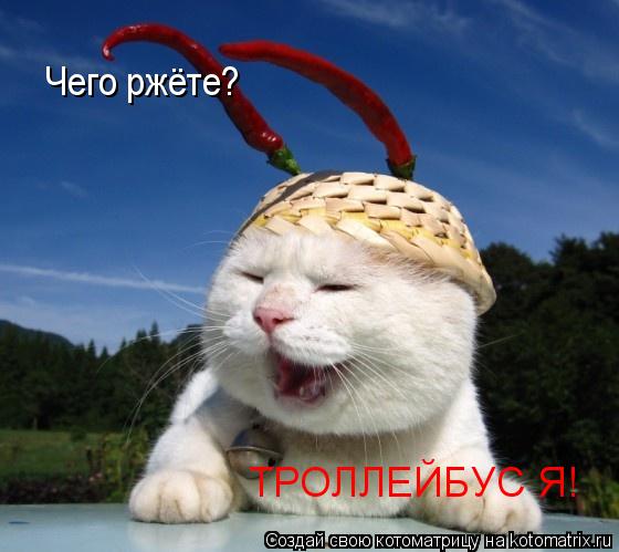 ТРОЛЛЕЙБУС Я! Чего ржёте?... Котоматрица: ТРОЛЛЕЙБУС Я! Чего ржёте?