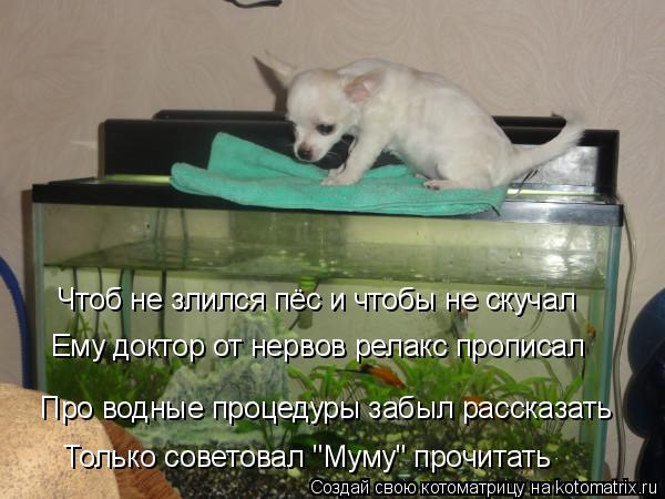 Украшение для сапог своими руками Украшение для сапог своими руками
