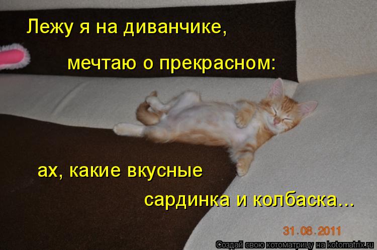 Лежу я на диванчике, мечтаю о прекрасном: ах, какие вкусные сардинка и колбаска...... Котоматрица: Лежу я на диванчике, мечтаю о прекрасном: ах, какие вкусные сардинка и колбаска...