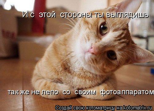 Котоматрица: И с  этой  стороны ты выглядишь так же не лепо  со  своим  фотоаппаратом