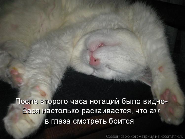 Котоматрица: После второго часа нотаций было видно- Вася настолько раскаивается, что аж  в глаза смотреть боится