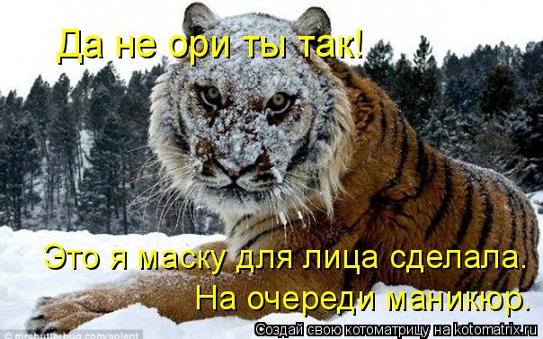 Котоматрица: Да не ори ты так! Это я маску для лица сделала. На очереди маникюр.