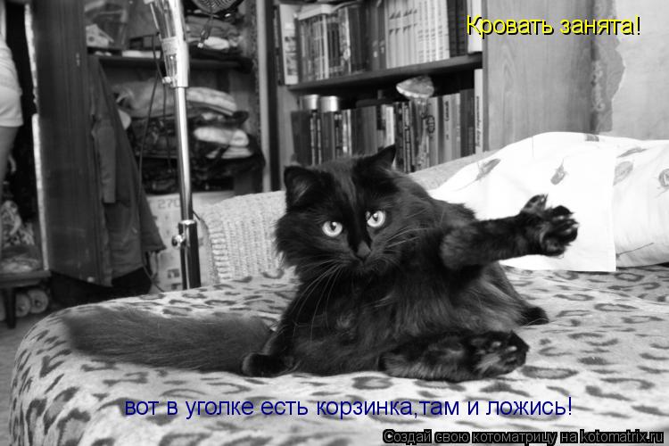 Котоматрица: Кровать занята! вот в уголке есть корзинка,там и ложись!