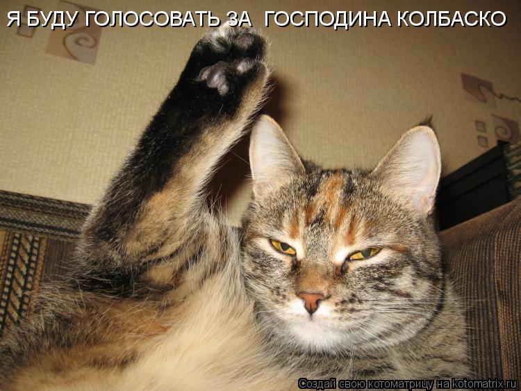 Котоматрица: Я БУДУ ГОЛОСОВАТЬ ЗА  ГОСПОДИНА КОЛБАСКО