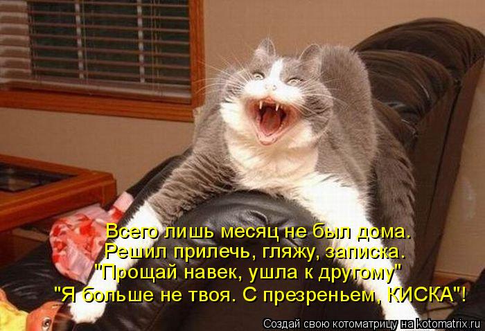 Котоматрица: Всего лишь месяц не был дома. Решил прилечь, гляжу, записка. "Прощай навек, ушла к другому" "Я больше не твоя. С презреньем, КИСКА"!