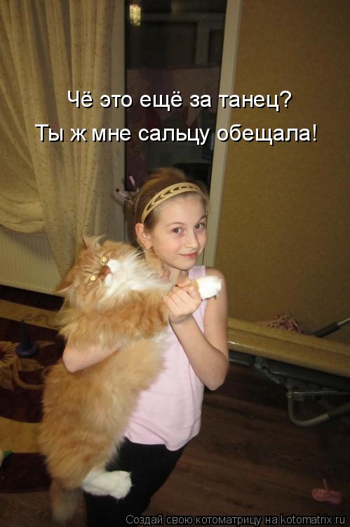 Котоматрица: Чё это ещё за танец? Ты ж мне сальцу обещала!