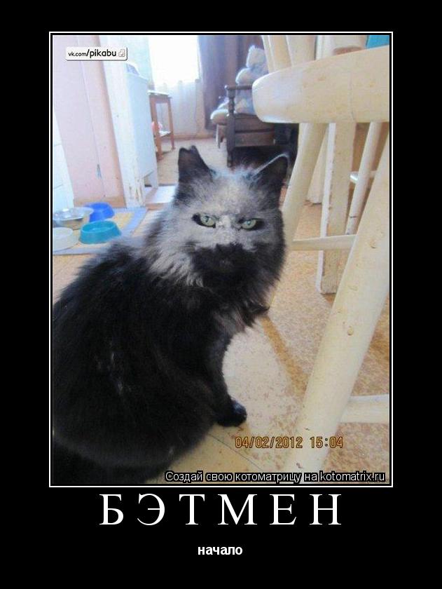 Котоматрица: БЭТМЕН начало