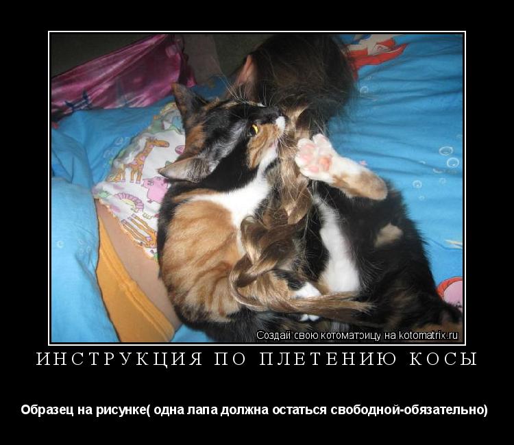 Котоматрица: ИНСТРУКЦИЯ по плетению косы Образец на рисунке( одна лапа должна остаться свободной-обязательно) 