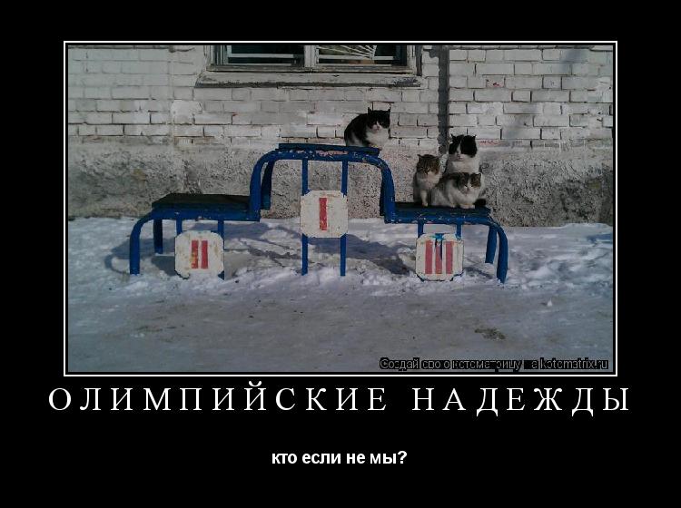 Котоматрица: Олимпийские надежды кто если не мы?