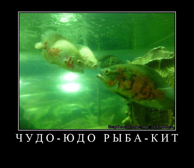 Котоматрица: Чудо-Юдо Рыба-Кит 