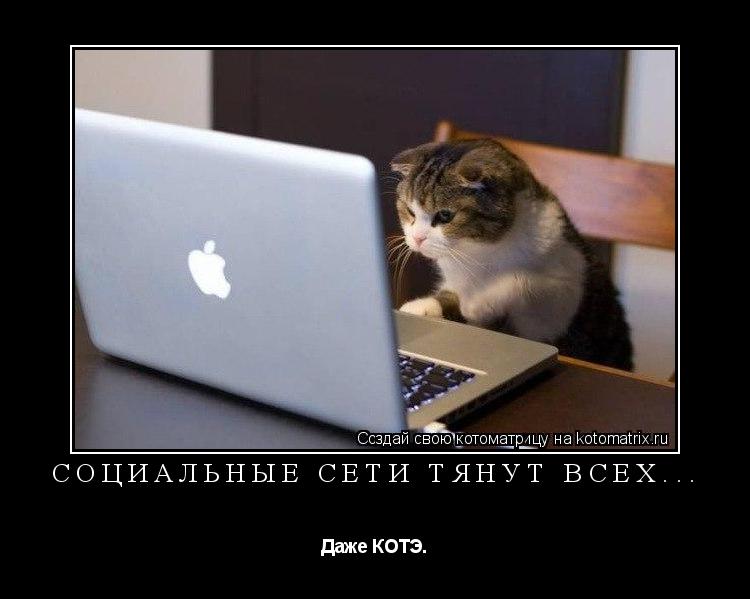 Котоматрица: Социальные сети тянут всех... Даже КОТЭ.