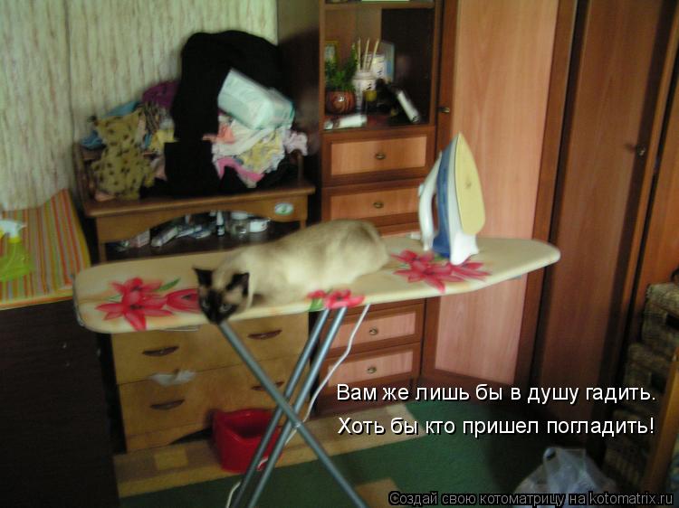 Котоматрица: Вам же лишь бы в душу гадить. Хоть бы кто пришел погладить!