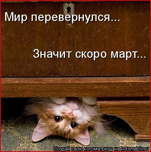 Котоматрица: Мир перевернулся... Значит скоро март...