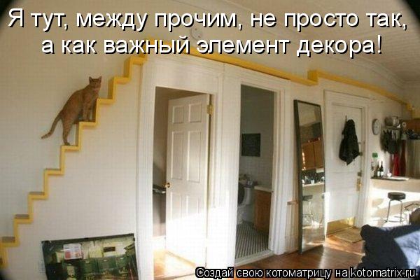Котоматрица: Я тут, между прочим, не просто так,  а как важный элемент декора!