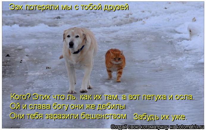 Ээх потеряли мы с тобой друзей Кого? Этих что ль. как их там, а вот петуха и осла. Ой и слава богу он... Котоматрица: Ээх потеряли мы с тобой друзей Кого? Этих что ль. как их там, а вот петуха и осла. Ой и слава богу они же дебилы Они тебя заразили бешенством З