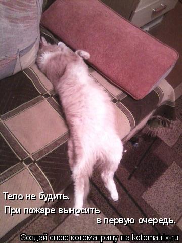 Тело не будить. При пожаре выносить в первую очередь.... Котоматрица: Тело не будить. При пожаре выносить в первую очередь.