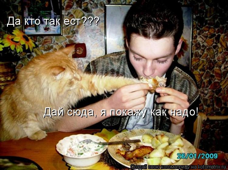 Да кто так ест??? Дай сюда, я покажу как надо!... Котоматрица: Да кто так ест??? Дай сюда, я покажу как надо!