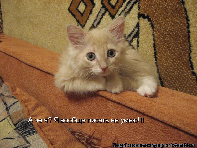 А че я? Я вообще писать не умею!!!... Котоматрица: А че я? Я вообще писать не умею!!!