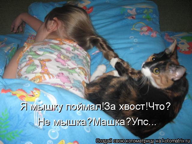 Котоматрица: Я мышку поймал!За хвост!Что? Не мышка?Машка?Упс...