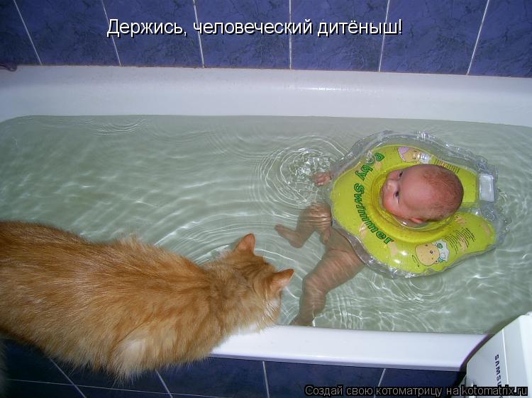 Держись, человеческий дитёныш!... Котоматрица: Держись, человеческий дитёныш!