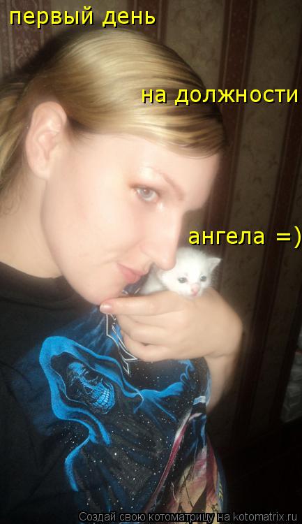 первый день на должности ангела =)... Котоматрица: первый день на должности ангела =)