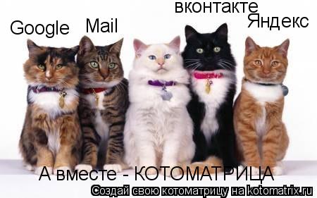 Котоматрица: Google Mail Яндекс вконтакте А вместе - КОТОМАТРИЦА