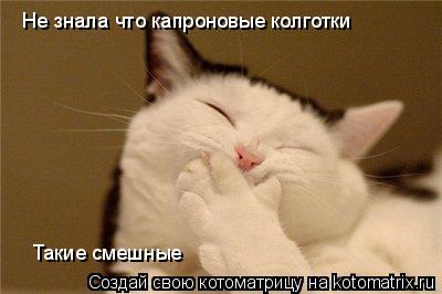 Котоматрица: Не знала что капроновые колготки  Такие смешные