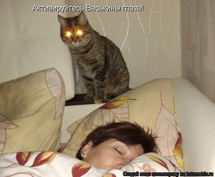 Котоматрица: Активируйтесь Васькины глаза!