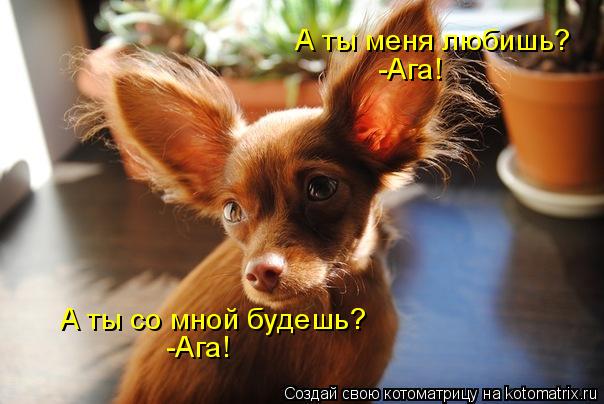 Котоматрица: А ты меня любишь? -Ага! А ты со мной будешь? -Ага!