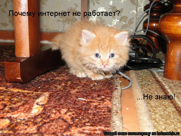 Котоматрица: Почему интернет не работает? ...Не знаю!