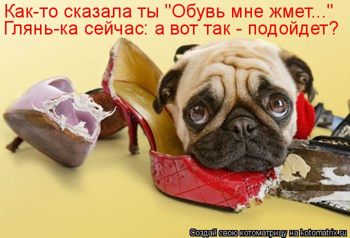 Котоматрица: Как-то сказала ты "Обувь мне жмет..." Глянь-ка сейчас: а вот так - подойдет?