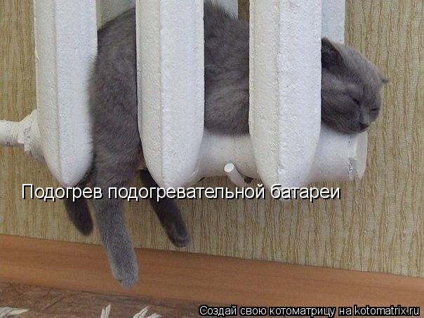 Котоматрица: Подогрев подогревательной батареи