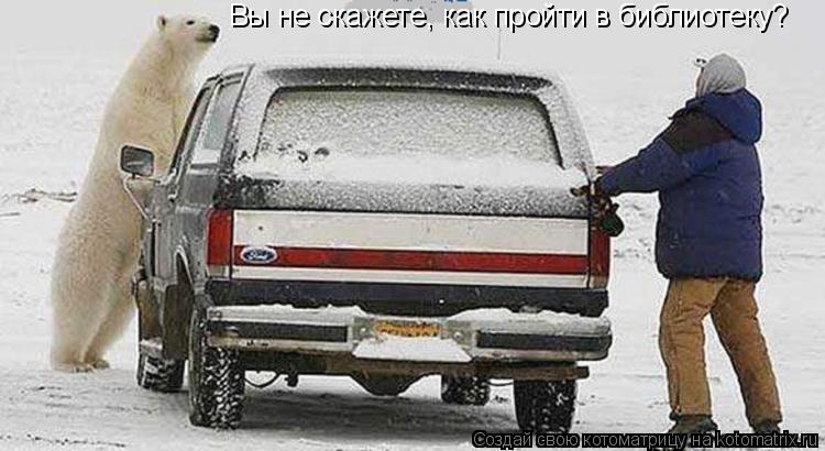 Котоматрица: Вы не скажете, как пройти в библиотеку?