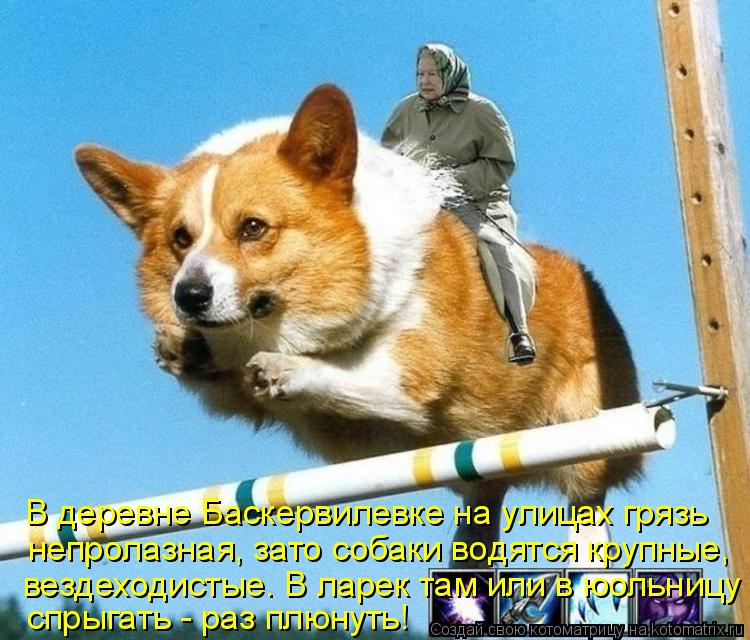 Котоматрица: В деревне Баскервилевке на улицах грязь непролазная, зато собаки водятся крупные, спрыгать - раз плюнуть! вездеходистые. В ларек там или в ю