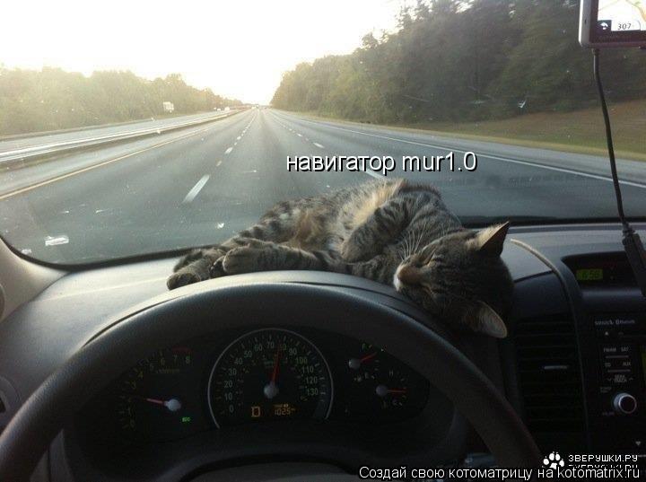 Котоматрица: навигатор mur1.0