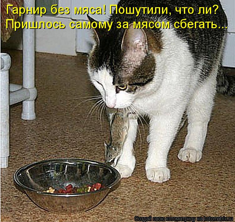 Котоматрица: Гарнир без мяса! Пошутили, что ли? Пришлось самому за мясом сбегать...
