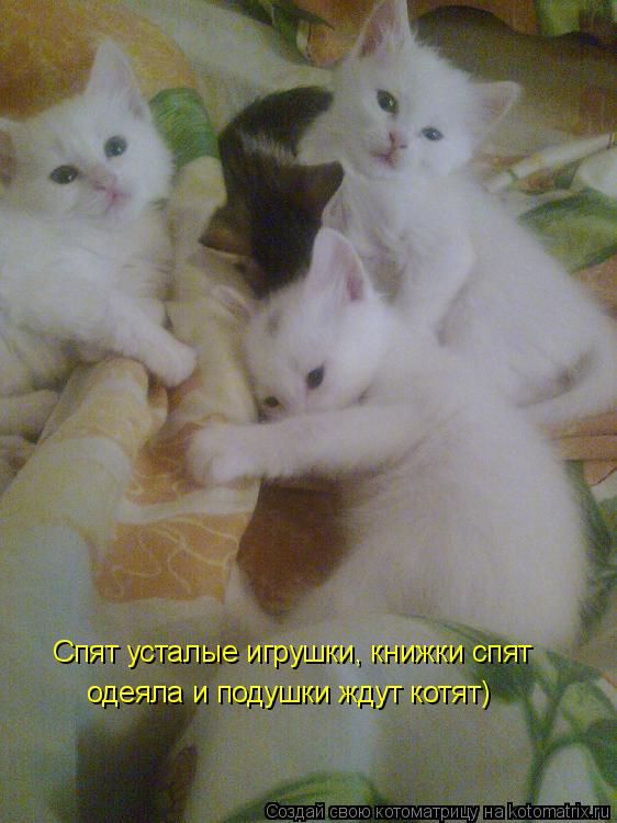 Котоматрица: Спят усталые игрушки, книжки спят одеяла и подушки ждут котят)