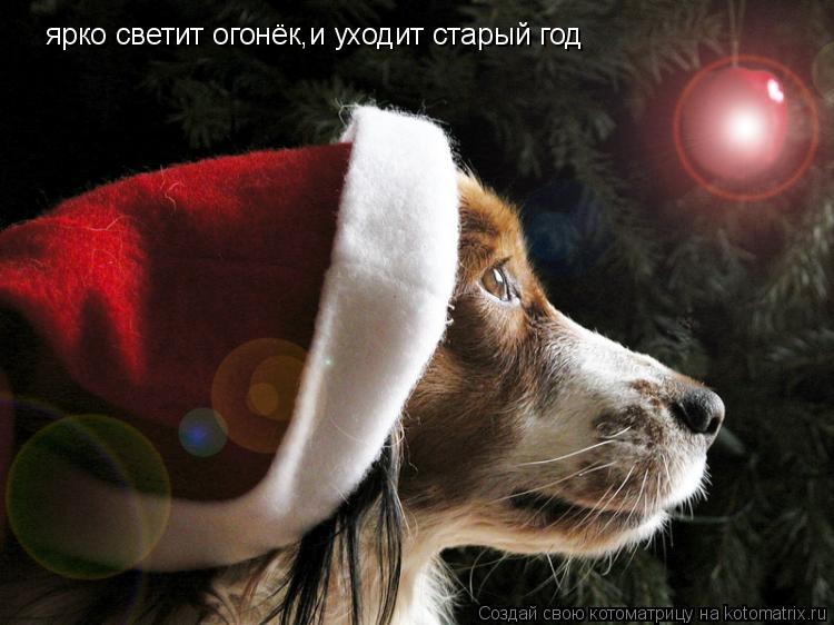Котоматрица: ярко светит огонёк,и уходит старый год