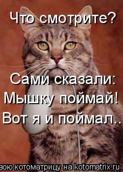 Котоматрица: Что смотрите? Сами сказали: Мышку поймай! Вот я и поймал...