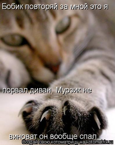 Бобик повторяй за мной это я порвал диван, Мурзик не виноват он вообще спал... Котоматрица: Бобик повторяй за мной это я порвал диван, Мурзик не виноват он вообще спал