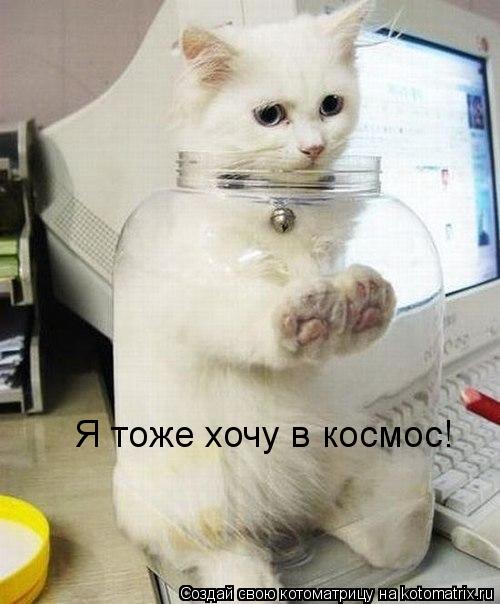 Я тоже хочу в космос!... Котоматрица: Я тоже хочу в космос!
