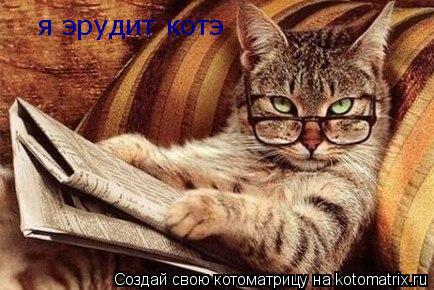 я эрудит котэ... Котоматрица: я эрудит котэ