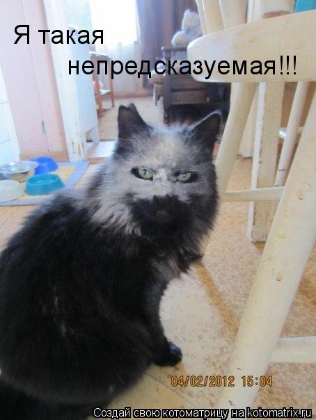 Я такая непредсказуемая!!!... Котоматрица: Я такая непредсказуемая!!!
