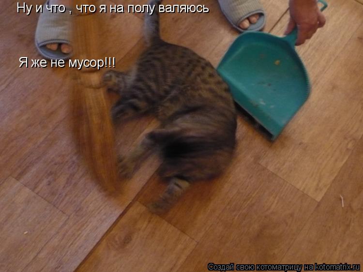 Ну и что , что я на полу валяюсь Я же не мусор!!!... Котоматрица: Ну и что , что я на полу валяюсь Я же не мусор!!!