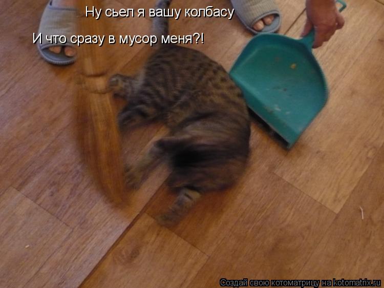 Ну сьел я вашу колбасу И что сразу в мусор меня?!... Котоматрица: Ну сьел я вашу колбасу И что сразу в мусор меня?!