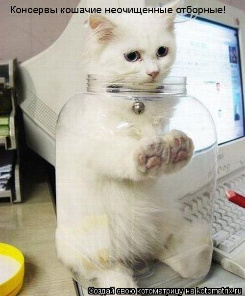 Консервы кошачие неочищенные отборные!... Котоматрица: Консервы кошачие неочищенные отборные!